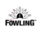 Play Fowling